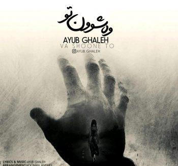 ایوب قلعه وه شوون تو